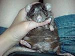     
: DSC00737.jpg
: 7
:	142.2 
ID:	4300097