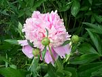     
: S4025660.jpg
: 2
:	123.1 
ID:	4301172