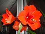     
: DSC04318.jpg
: 3
:	114.5 
ID:	4302330