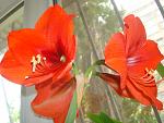     
: DSC04322.jpg
: 5
:	122.3 
ID:	4302334