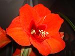     
: DSC04321.jpg
: 6
:	126.6 
ID:	4302336