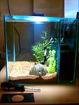     
: IMG_20120520_101433.jpg
: 22
:	72.9 
ID:	4302426