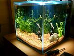     
: IMG_20120520_101348.jpg
: 36
:	172.1 
ID:	4302428
