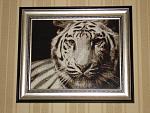     
: DSC01632.jpg
: 12
:	211.1 
ID:	4305621