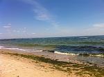     
: IMG_0784.jpg
: 20
:	162.0 
ID:	4307171