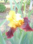     
: P5210719.jpg
: 4
:	98.1 
ID:	4307272