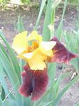     
: P5210718.jpg
: 8
:	92.7 
ID:	4307319