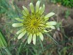     
: IMG_1401.jpg
: 8
:	41.6 
ID:	4307685