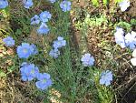     
: IMG_1371.jpg
: 8
:	80.1 
ID:	4307686