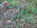     
: IMG_1432.jpg
: 7
:	86.5 
ID:	4307699