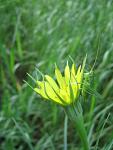     
: IMG_1423.jpg
: 3
:	38.4 
ID:	4307702