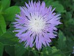     
: IMG_1429.jpg
: 9
:	41.4 
ID:	4308456