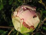     
: IMG_1465.jpg
: 9
:	35.0 
ID:	4308457
