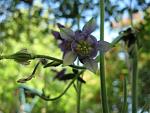     
: IMG_1387.jpg
: 10
:	44.0 
ID:	4308489