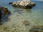    
: P8051938.jpg
: 55
:	141.4 
ID:	431176