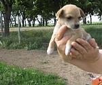     
: IMG_1094.jpg
: 6
:	129.1 
ID:	4312980