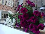     
: DSC02298.jpg
: 6
:	140.4 
ID:	4313571