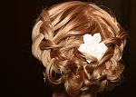     
: image175.jpg
: 15
:	41.2 
ID:	4316044