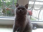     
: 2012-05-20 17.56.11.jpg
: 36
:	130.9 
ID:	4316055