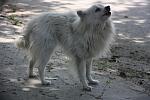     
: IMG_1592.jpg
: 35
:	116.2 
ID:	4317734