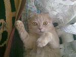     
: 160320122274.jpg
: 13
:	148.8 
ID:	4318188