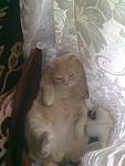    
: 160320122273.jpg
: 19
:	84.4 
ID:	4318190