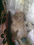     
: 160320122272.jpg
: 17
:	92.8 
ID:	4318191