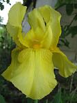     
: IMG_1411.jpg
: 13
:	34.1 
ID:	4321430