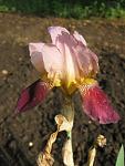     
: IMG_1378.jpg
: 8
:	42.2 
ID:	4321431
