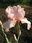     
: IMG_1377.jpg
: 16
:	39.1 
ID:	4321432