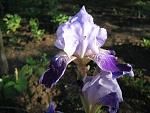    
: IMG_1443.jpg
: 6
:	43.5 
ID:	4321443