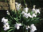     
: IMG_1451.jpg
: 11
:	72.2 
ID:	4321444