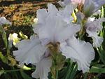     
: IMG_1446.jpg
: 16
:	42.8 
ID:	4321445