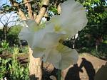     
: IMG_1448.jpg
: 12
:	47.0 
ID:	4321446