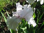     
: IMG_1442.jpg
: 20
:	47.6 
ID:	4321448
