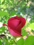     
: IMG_1469.jpg
: 5
:	38.7 
ID:	4321466
