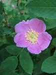     
: IMG_1413.jpg
: 6
:	33.3 
ID:	4321468