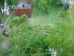     
: DSC09997.jpg
: 13
:	202.0 
ID:	4322112