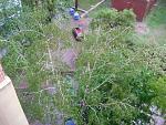     
: DSC09996.jpg
: 12
:	219.2 
ID:	4322114