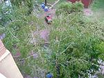     
: DSC09998.jpg
: 11
:	241.2 
ID:	4322115