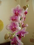     
: DSC00588.jpg
: 5
:	66.8 
ID:	4322983