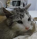     
: jsm2hxI9LjE.jpg
: 13
:	132.7 
ID:	4324030
