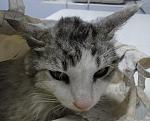     
: z54VFPDtDRE.jpg
: 15
:	72.7 
ID:	4324032
