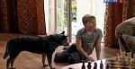     
: lmPEjP8Q8GM.jpg
: 5
:	35.5 
ID:	4324326