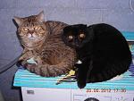     
: GerdaFester.jpg
: 5
:	169.9 
ID:	4326644