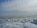     
: DSC00113.jpg
: 41
:	104.1 
ID:	4328308