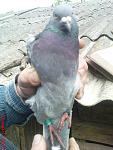     
: DSC02570.jpg
: 6
:	103.5 
ID:	4328352