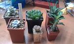     
: IMAG0221.jpg
: 11
:	96.4 
ID:	4329617