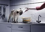     
: clean dishes.jpg
: 14
:	41.0 
ID:	4330112