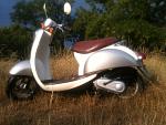     
: IMG_2241.jpg
: 26
:	142.0 
ID:	4334135